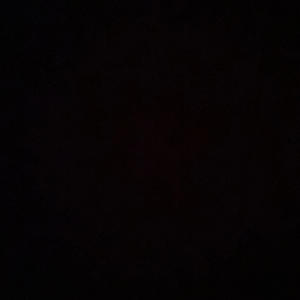 BIRDS OF A FEATHER 2 (feat. 713 Kozy & Zendetta) (Explicit)