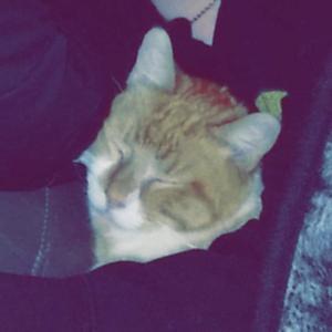 CLOSEMYEYES Pt.2 (Explicit)