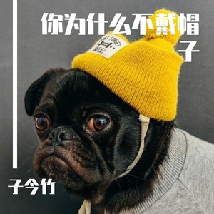 是苹果还是梨 (Demo)