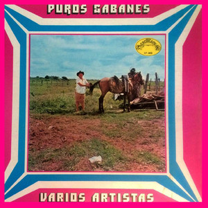 Puros Gabanes