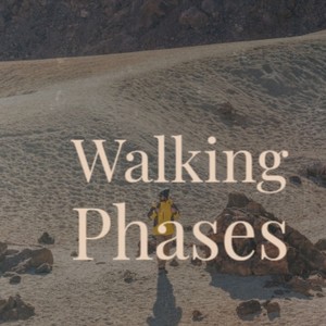 Walking Phases