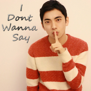 I Dont Wanna Say