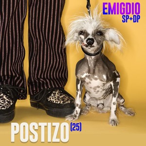 Postizo (feat. Desorden Publico)