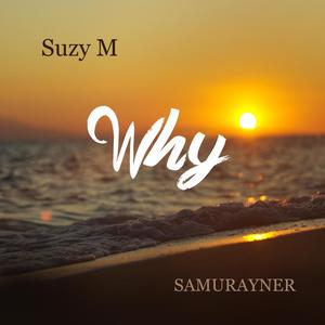 Why (feat. samurayner)