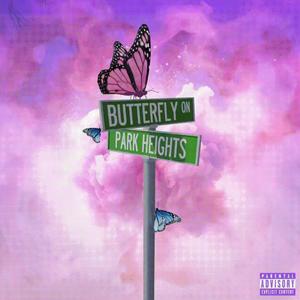 Butterfly On ParkHeights (B Side) [Explicit]