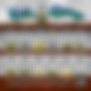 Who Am I (feat. X-Raided & Lyrical Dre) (Explicit)