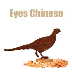 Eyes Chinese