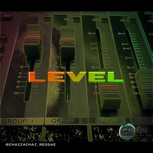 Level