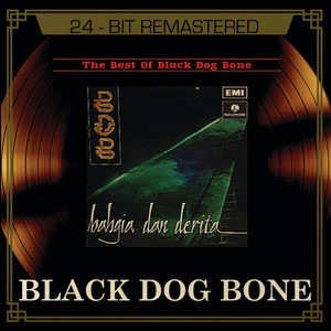 The Best Of Black Dog Bone