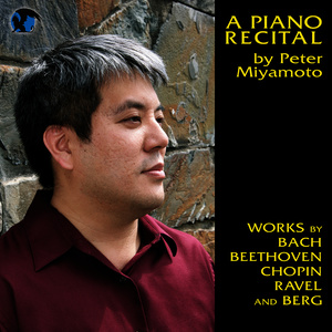 Piano Sonata, Op. 1 (钢琴奏鸣曲，作品1)