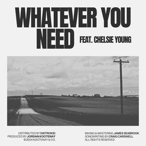 Whatever You Need (feat. Chelsie Young)