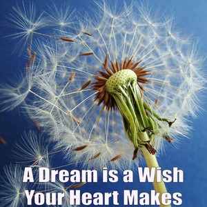 A Dream is a Wish Your Heart Makes