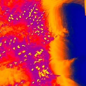 Another One (feat. 45th) (Explicit)