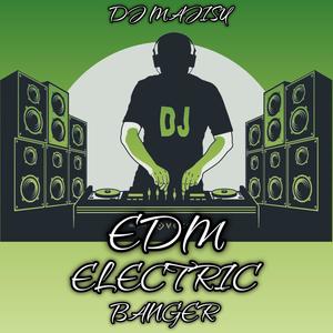 EDM ELECTRIC BANGER