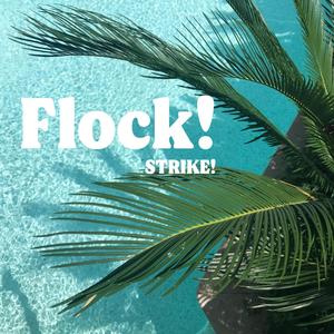 Flock!
