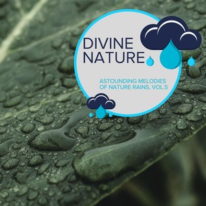 Divine Nature - Astounding Melodies of Nature Rains, Vol.5