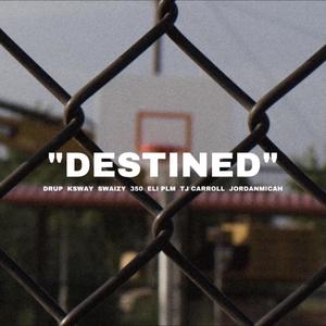 Destined(feat. Swaizy, 350, ELI PLM, TJ Carroll & JordanMicah)