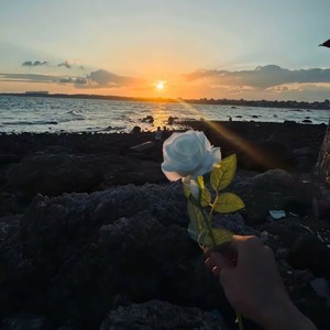 BleakX - Bar Bar Bar (没去学校DJ版)