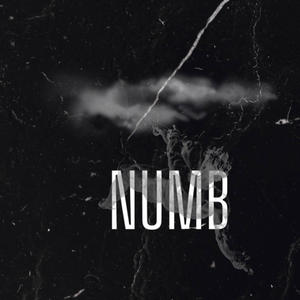 Numb (feat. Clayfrumjodeci) (Explicit)