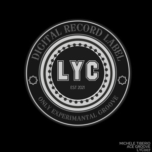 Ace Groove (Original Mix)
