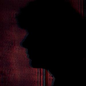 Seeing Shapes (Explicit)