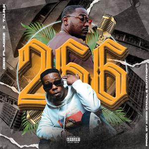 266 (feat. Gee Flaggz) [Explicit]