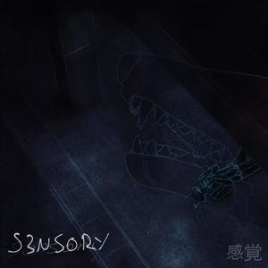 S3NSORY