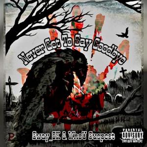 Never Got To Say Goodbye(feat. Sway_GK) (Explicit)