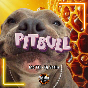 Pitbull (Explicit)