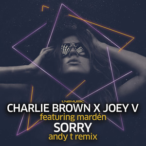 Sorry(feat. Mardén) (Andy T Remix)