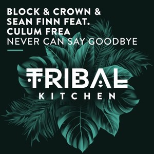 Never Can Say Goodbye (Radio Edit)