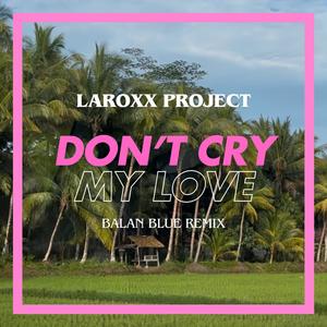 Don't Cry My Love (Balan Blue Remix)