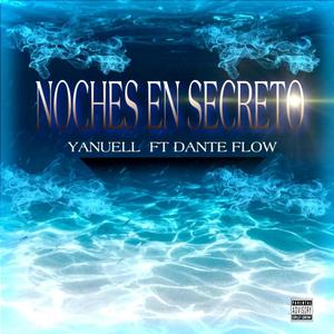 NOCHES EN SECRETO (feat. DANTE FLOW)