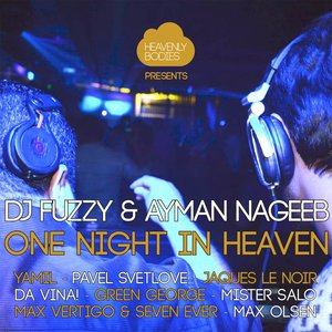 One Night in Heaven, Vol. 8 - Mixed & Compiled by DJ Fuzzy & Ayman Nageeb