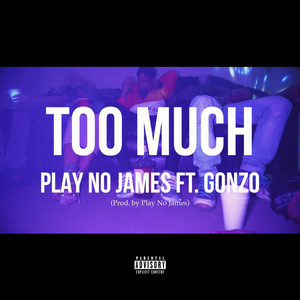 Too Much (Explicit)