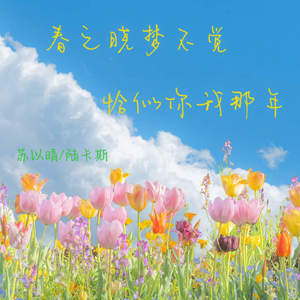 春之晓梦不觉 恰似你我那年