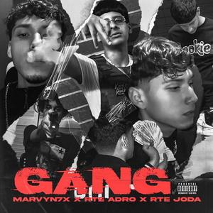 GANG (feat. RTE Adro & Joda Youngin) [Explicit]