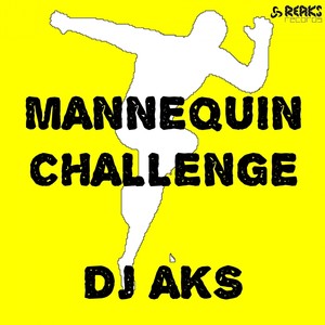 Mannequin Challenge (Remix)
