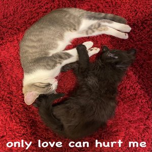 ONLY LOVE CAN HURT MEEE