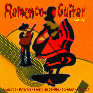 Flamenco Guitar