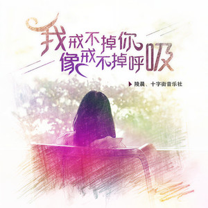 我戒不掉你像戒不掉呼吸 (伴奏)