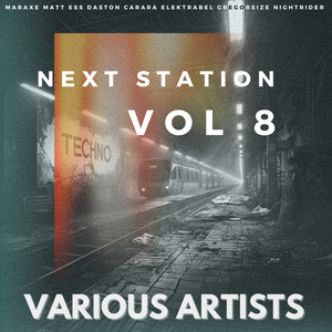 Next Station: Techno, Vol.8