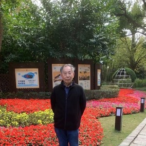 茶香夜雨 (翻奏: 杨晨晖)