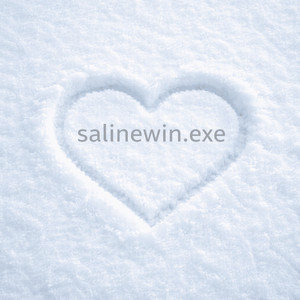 salinewin.exe