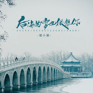 后海的雪也很想你