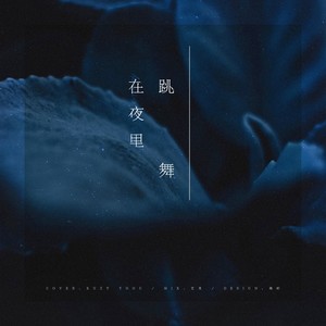 在夜里跳舞