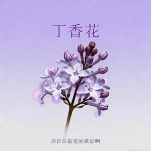 丁香花 (那首你最爱的歌谣啊)