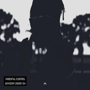 BLACK STALLION (feat. Lil p_d & Veevee)