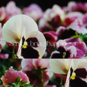 Smiles bring happiness. (feat. Mew & CYBER DIVA)