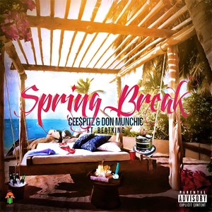 Spring Break (feat. Beatking)